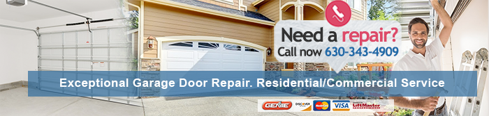 Garage Door Repair Roselle